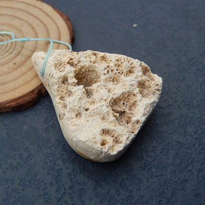 Natural Indonesian Fossil Coral Pendant Bead 50x38x15mm, 29.2g