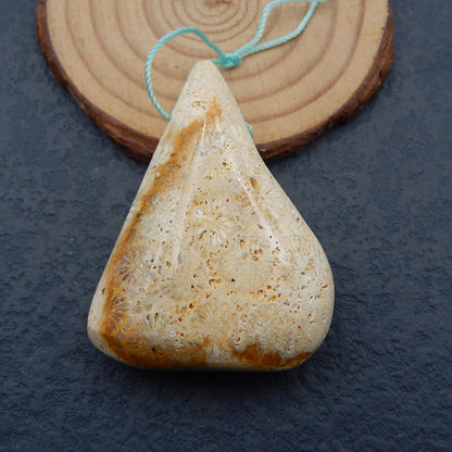 Perle pendentif percée en corail fossile indonésien Nugget, 50 x 38 x 15 mm, 29,2 g