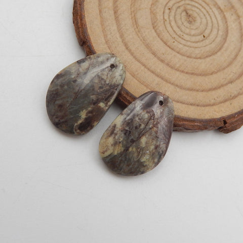 Natural Mushroom Jasper Earring Beads 24X16X4mm, 5.5g