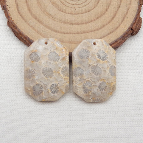 Paire de boucles d'oreilles en corail fossile indonésien naturel, pierre pour la fabrication de boucles d'oreilles, 26X19X4mm, 7.9g