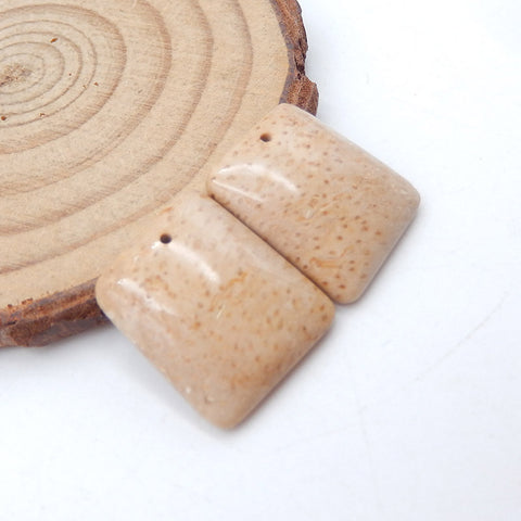 Natural Coconut Fossil Earring Beads 19x16x4mm, 4.7g