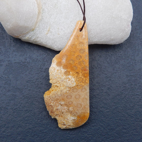 Perle pendentif percée en corail fossile indonésien naturel, 74 x 31 x 7 mm, 23,2 g