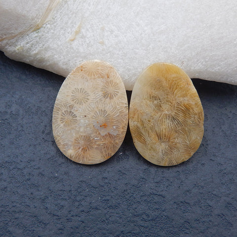 Paire de cabochons de pierres précieuses ovales en corail fossile indonésien naturel, 28 x 20 x 2 mm, 4,0 g