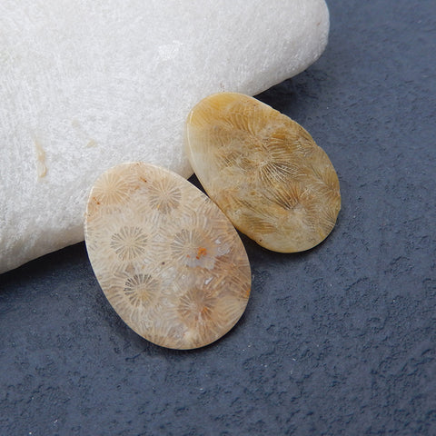 Paire de cabochons de pierres précieuses ovales en corail fossile indonésien naturel, 28 x 20 x 2 mm, 4,0 g