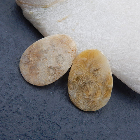 Paire de cabochons de pierres précieuses ovales en corail fossile indonésien naturel, 28 x 20 x 2 mm, 4,0 g