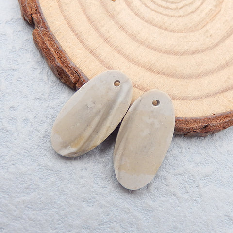 Natural Polish Flint Jasper Earring Beads 20x10x3mm, 2.3g