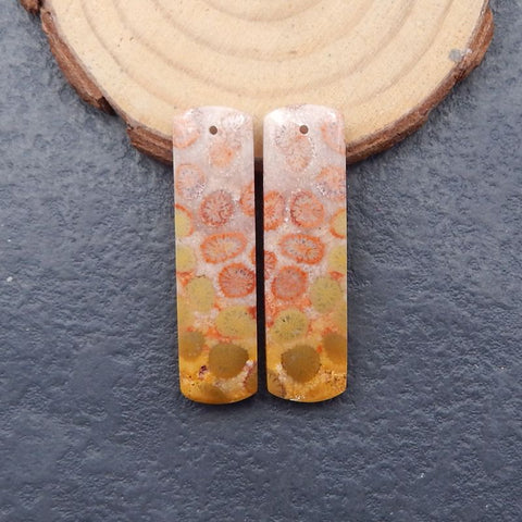 Natural Indonesian Coral Earring Beads 41x11x6mm, 10.3g