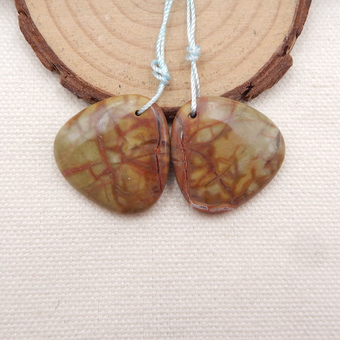 Natural Mushroom Jasper Earring Beads 25x25x6mm, 10.3g