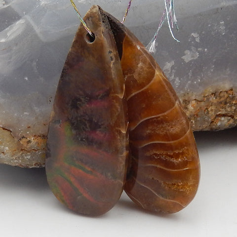 Natural Ammonite Fossil Earring Beads 32x13x5mm, 6.7g