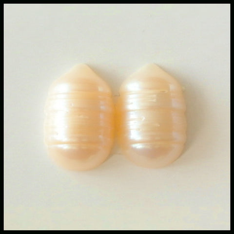 SALE Shell Gemstone Cabochon Pair, 14x9x5mm, 2.08g - MyGemGarden