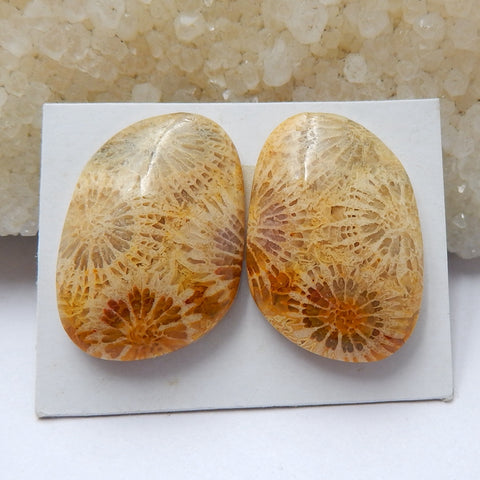 Natural Indonesian Fossil Coral Gemstone Cabochon pair, 23x16x6mm, 7.4g - MyGemGarden