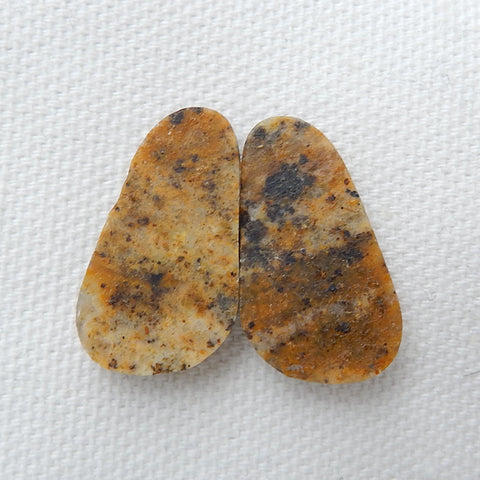 Natural petrified wood fossil Gemstone Cabochon Pair, 24x14x5mm, 4.4g - MyGemGarden