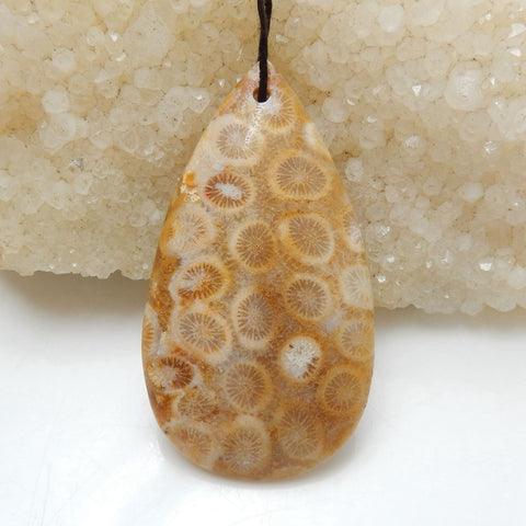 Indonesian Fossil Coral Teardrop Gemstone Pendant, Natural Stone, 52x29x7mm, 12.7g - MyGemGarden