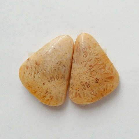 Natural Indonesian Fossil Coral Gemstone Cabochon Pair, 15x10x3mm, 1.6g - MyGemGarden