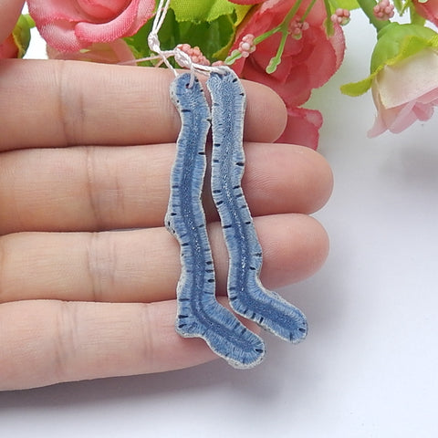 Natural Blue Coral Earrings Pair 55x7x3mm3.1g - MyGemGarden