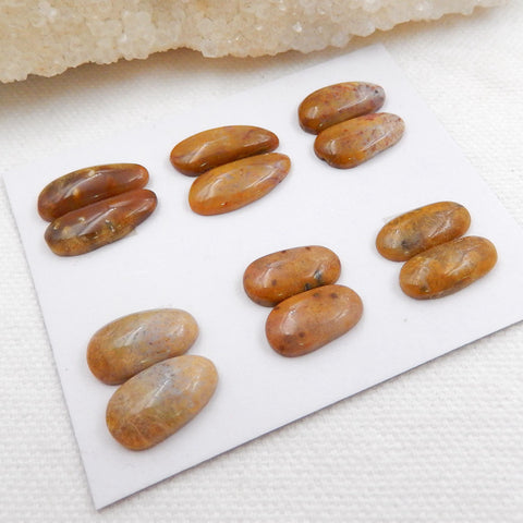 Sale 6 Pairs Indonesian Fossil Coral Gemstone Cabochons, 15x8x4mm, 15x8.5x4mm, 8.7g - MyGemGarden