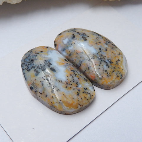 Natural petrified wood  Gemstone Cabochon Pair, 24x14x6mm, 6.5g - MyGemGarden