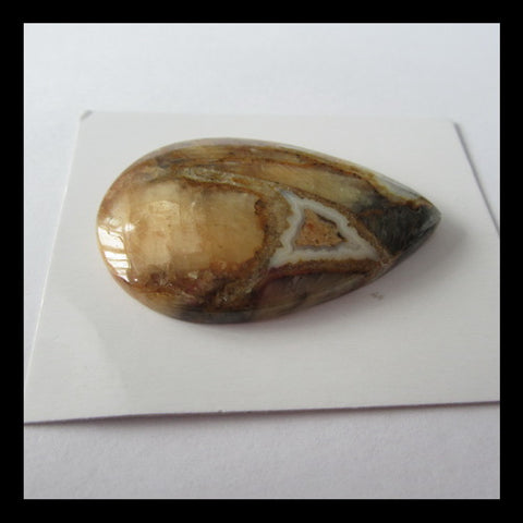 Petrified Wood Pendant Bead, 50x33x8mm, 19g - MyGemGarden