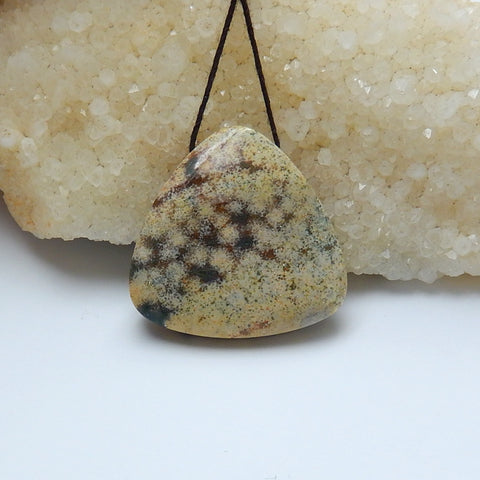 Indonesian Fossil Coral Drilled Triangle Pendant Bead, 36x35x9mm, 18.9g - MyGemGarden