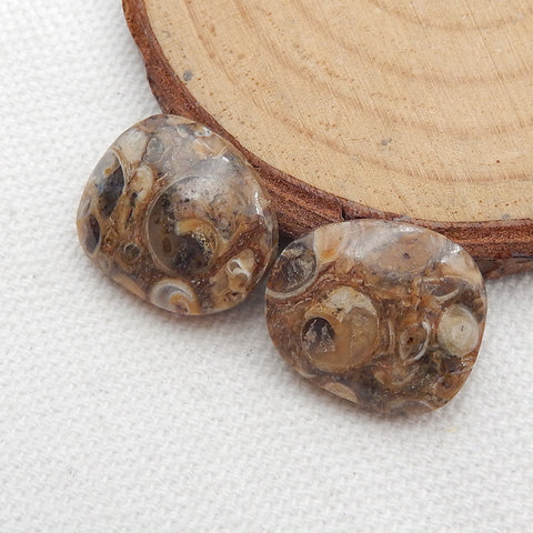 Natural Ammonite Fossil Cabochon Pair, 18x15x5mm, 4.5g