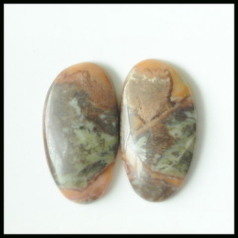 Gift From Natural Mushroom Jasper Cabochon Pair 23x12x4mm3.8g - MyGemGarden