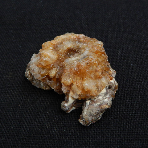 Natural rare mushroom agate nugget gemstone specimen, 37x30x14mm, 15.3g - MyGemGarden