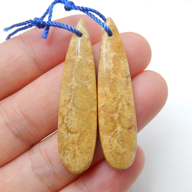 Natural Indonesian Fossil Coral Teardrop Earrings Pair, stone for Earrings making, 40x10x5mm, 4.9g - MyGemGarden