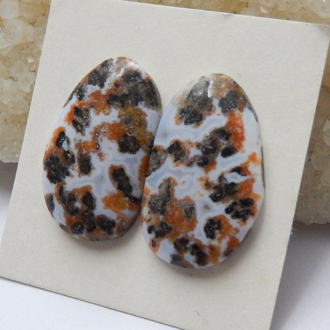 Natural petrified wood  Gemstone Cabochon Pair, 25x15x4mm, 4.9g - MyGemGarden