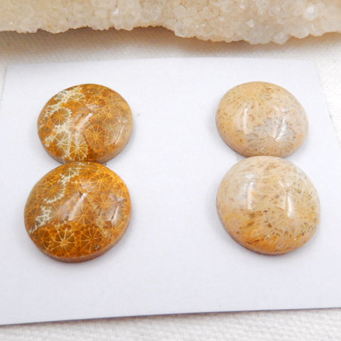 Sale 2 Pairs Indonesian Fossil Coral Round Gemstone Cabochons, 18x6mm, 12.4g - MyGemGarden