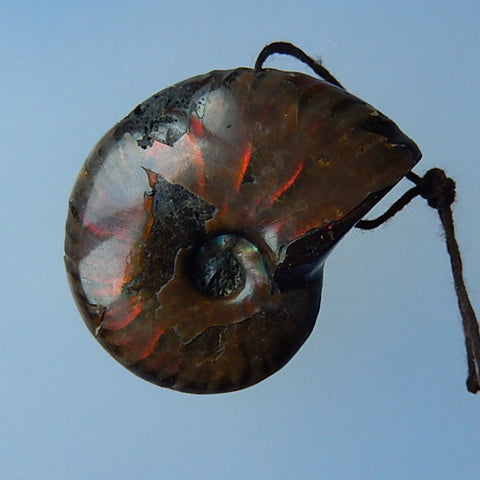 Beatiful Ammonite Fossil Carved Chameleon Drilled Pendant Bead, 39x31x12mm, 22g - MyGemGarden