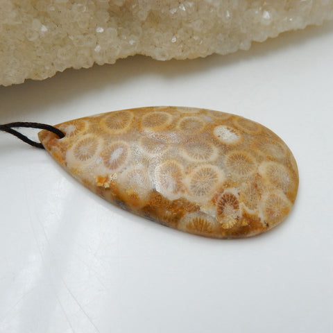 Indonesian Fossil Coral Teardrop Gemstone Pendant, Natural Stone, 52x29x7mm, 12.7g - MyGemGarden