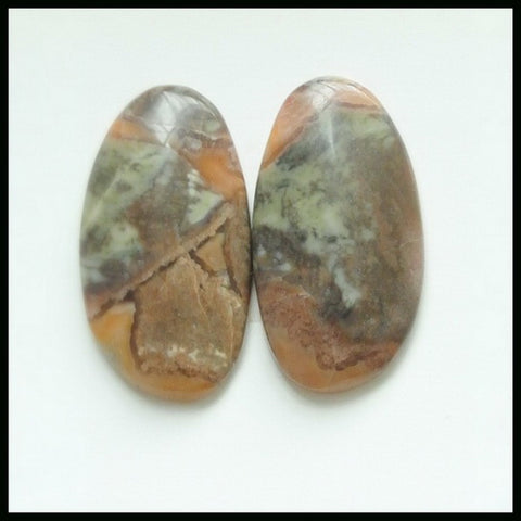 Gift From Natural Mushroom Jasper Cabochon Pair 23x12x4mm3.8g - MyGemGarden