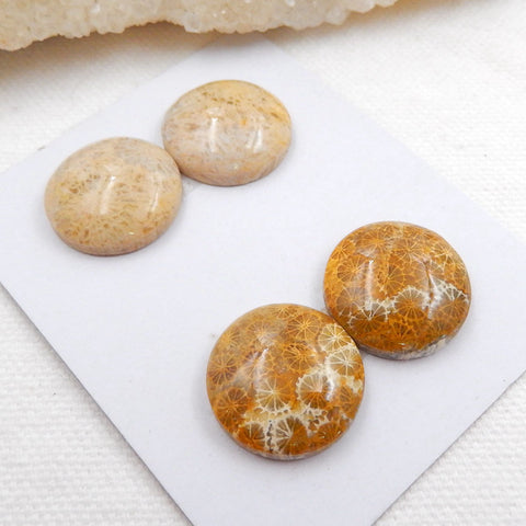 Sale 2 Pairs Indonesian Fossil Coral Round Gemstone Cabochons, 18x6mm, 12.4g - MyGemGarden