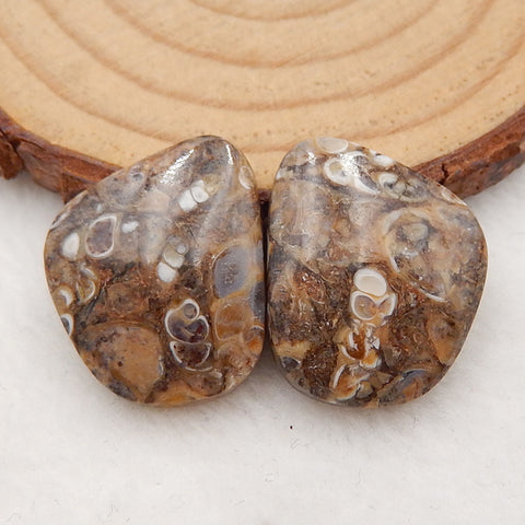 Natural Ammonite Fossil Cabochon Pair, 22x17x5mm, 5.4g