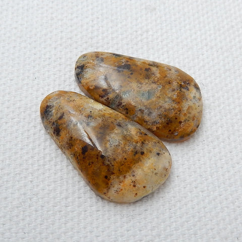 Natural petrified wood fossil Gemstone Cabochon Pair, 24x14x5mm, 4.4g - MyGemGarden