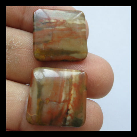 Picture Jasper Cabochon Pair 18x3mm,4.2g - MyGemGarden