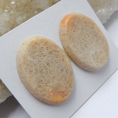 Natural Indonesian Fossil Coral Oval Gemstone Cabochon pair, 21x19x4mm, 7.5g - MyGemGarden