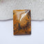 Natural Us Biggs Jasper Rectangle Gemstone Cabochon, 24x17x5mm, 3.9g - MyGemGarden