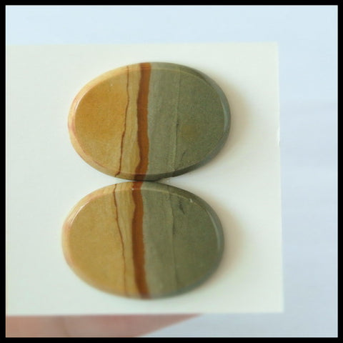 Natural US Biggs Picture Jasper Gemstone Cabochon Pair 23x17x3mm,5.2g - MyGemGarden