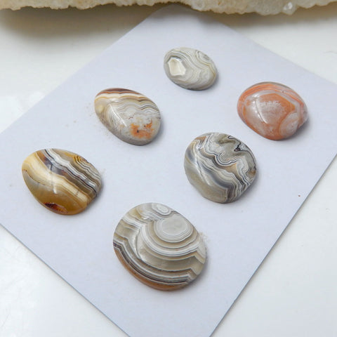 6 PCS Natural Crazy Lace Rosetta Stone Agate Flatback Gemstone Cabochons, 15x11x4mm, 13x10x4mm, 6.5g - MyGemGarden