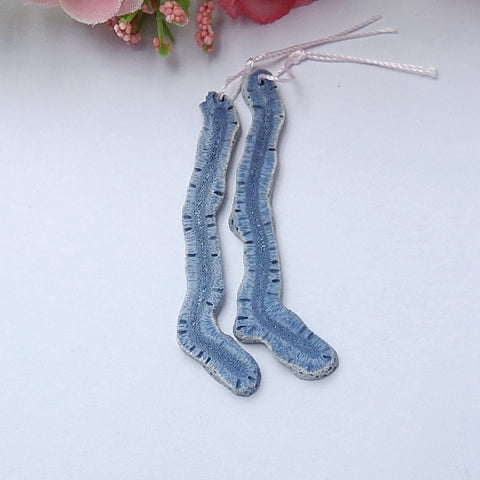 Natural Blue Coral Earrings Pair 55x7x3mm3.1g - MyGemGarden