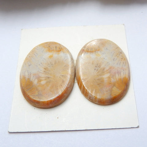 Natural Indonesian Fossil Coral Oval Gemstone Cabochon Pair, 25x18x3mm, 6.1g - MyGemGarden