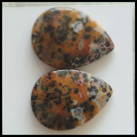 Natural Petrified Wood  Gemstone Cabochon Pair, 25x18x5mm, 7.3g - MyGemGarden