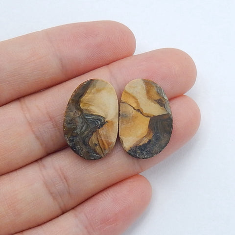 Us Biggs Jasper Cabochon Pair, 20x13x3mm, 2.3g - MyGemGarden