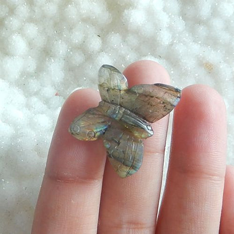 Carved Labradorite Beauty butterfly Cheap cabochon bead, 19x24x3mm, 2.92g - MyGemGarden