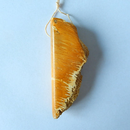 Natural Palm Pendant 68x28x12mm, 27.5g - MyGemGarden